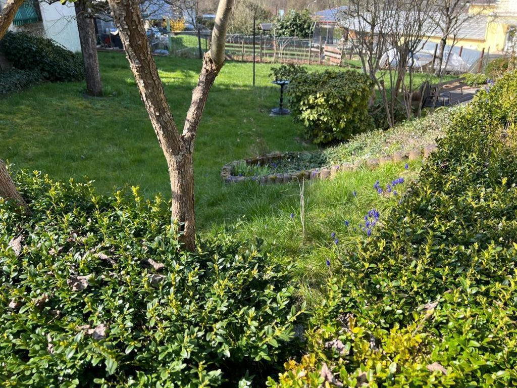 Ferien- Und Monteurwohnung Zum Waldblick