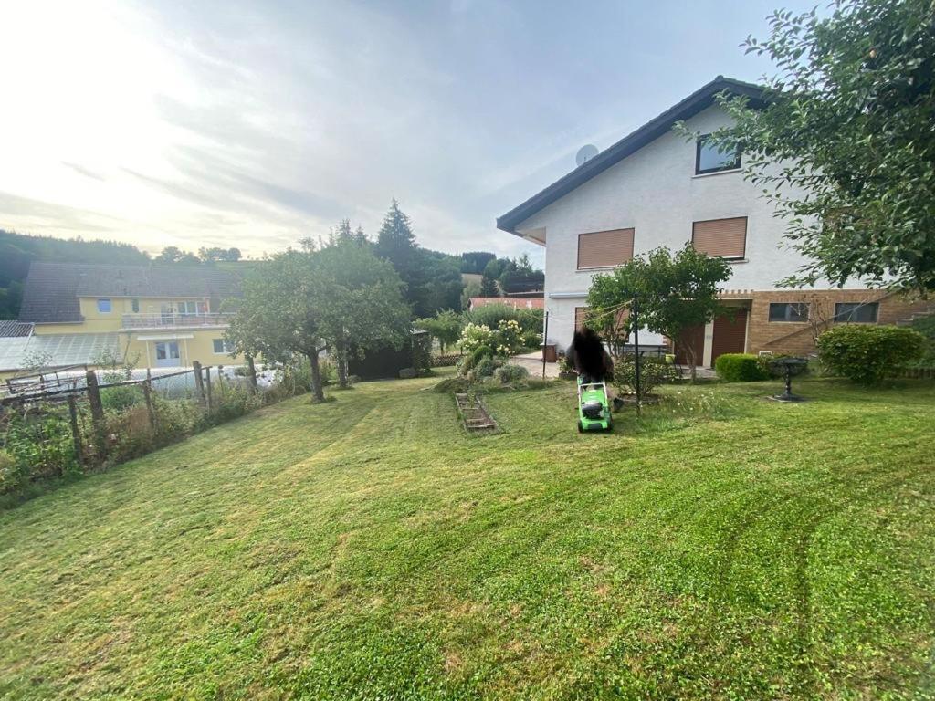 Ferien- Und Monteurwohnung Zum Waldblick